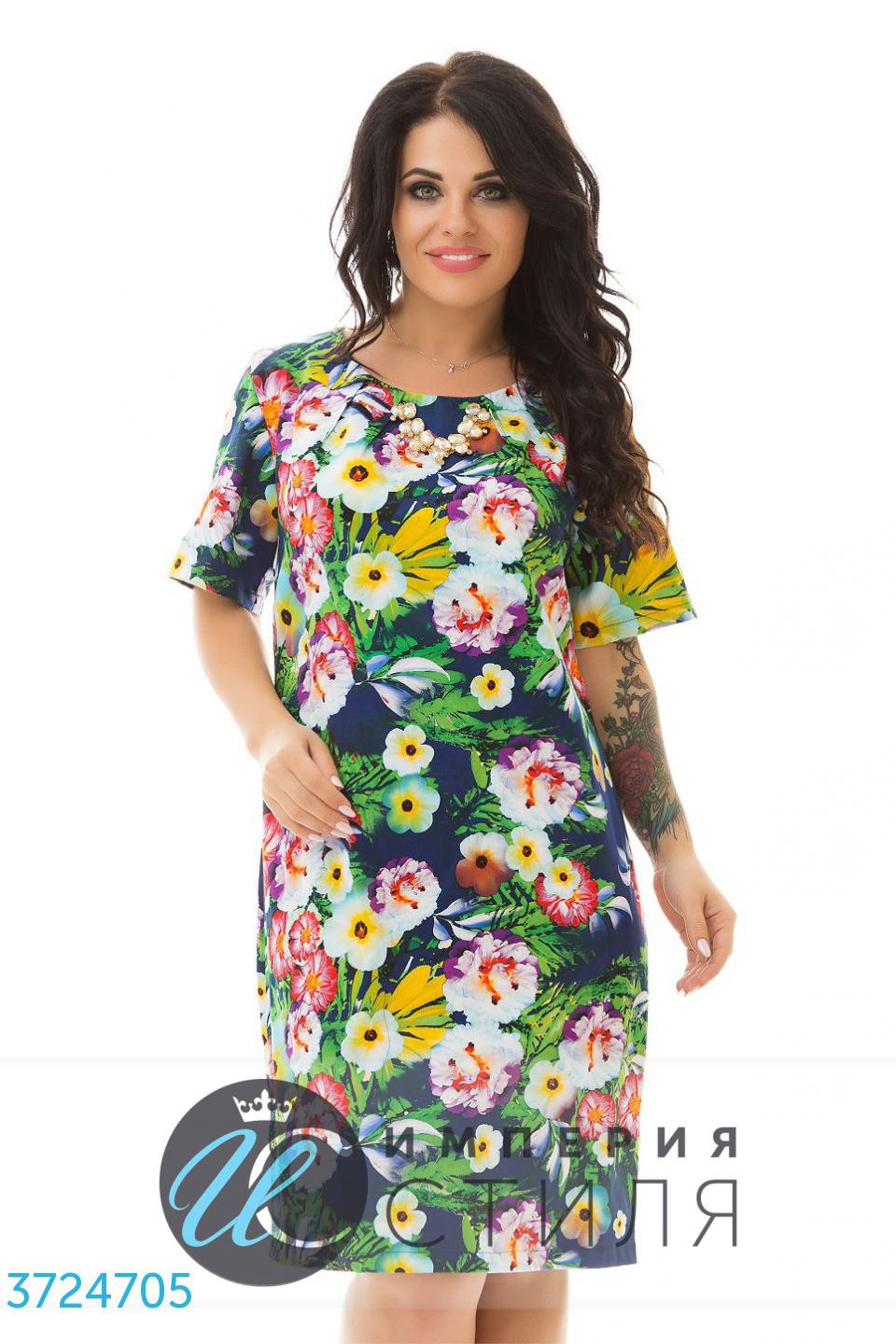    3724705 1216  - 50-60.jpg