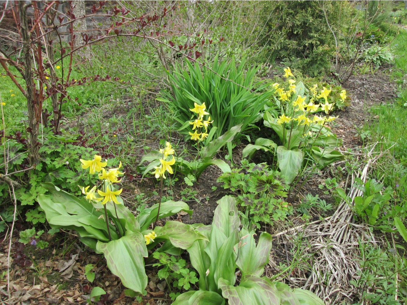 IMG 4856.JPG