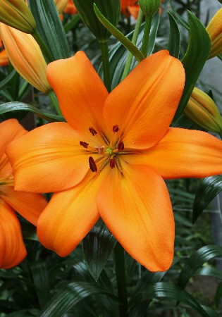 17,43.  (     7 .).jpg