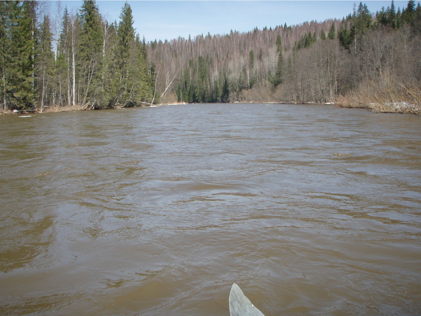 P1010041.JPG