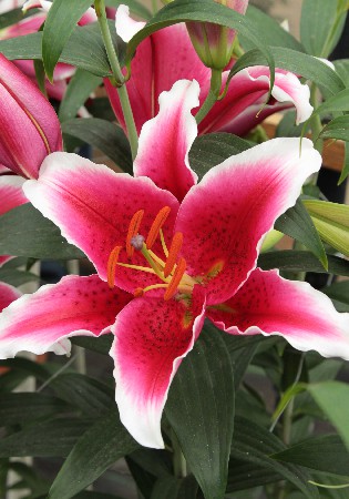 26,96.   (   7 .,   3.).jpg