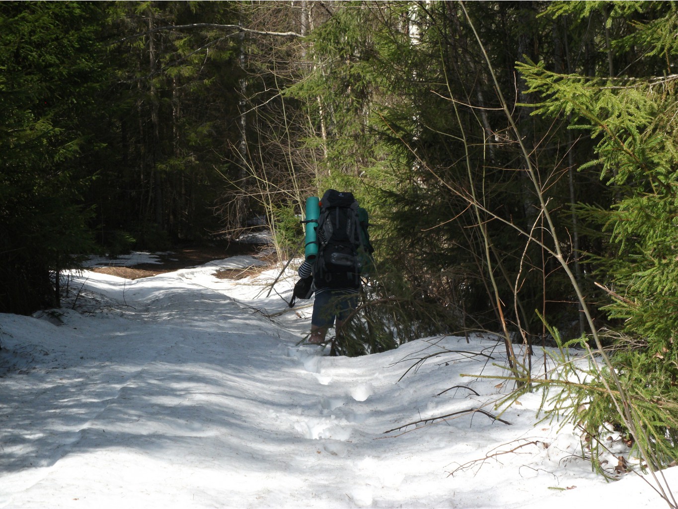 DSCF1753.JPG