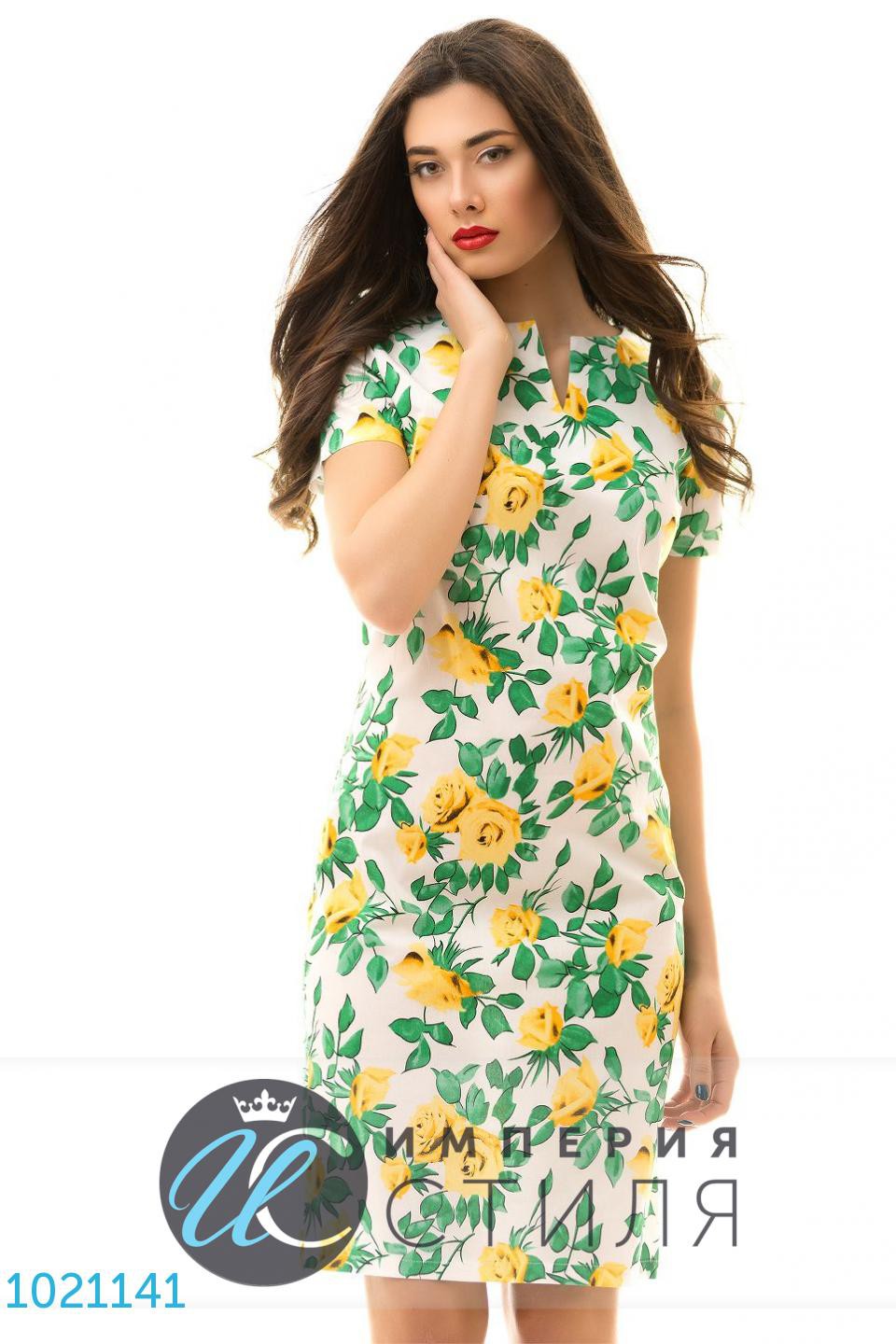   1021141 479  S M L.jpg