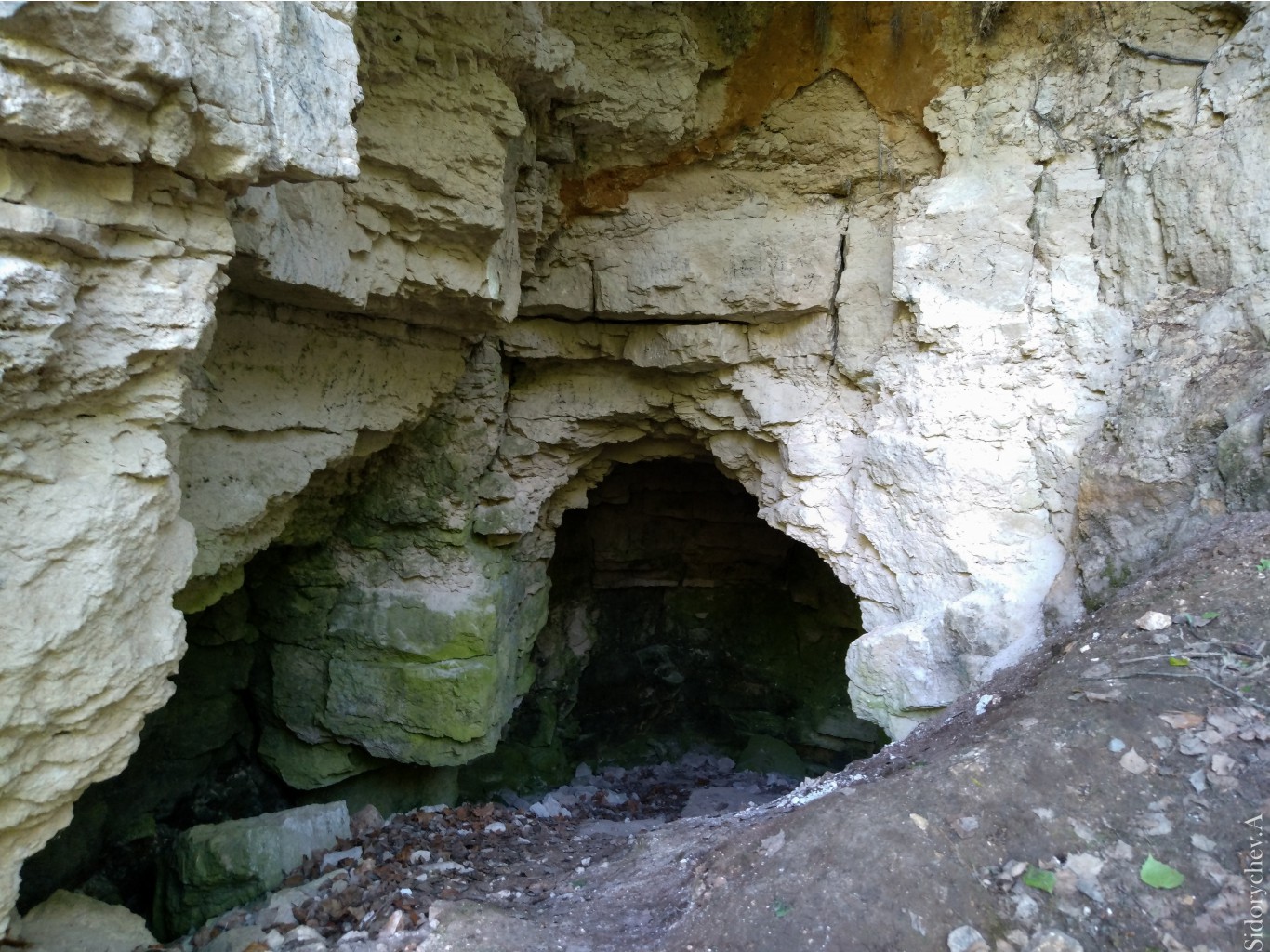 IMG 20170611 165318.jpg