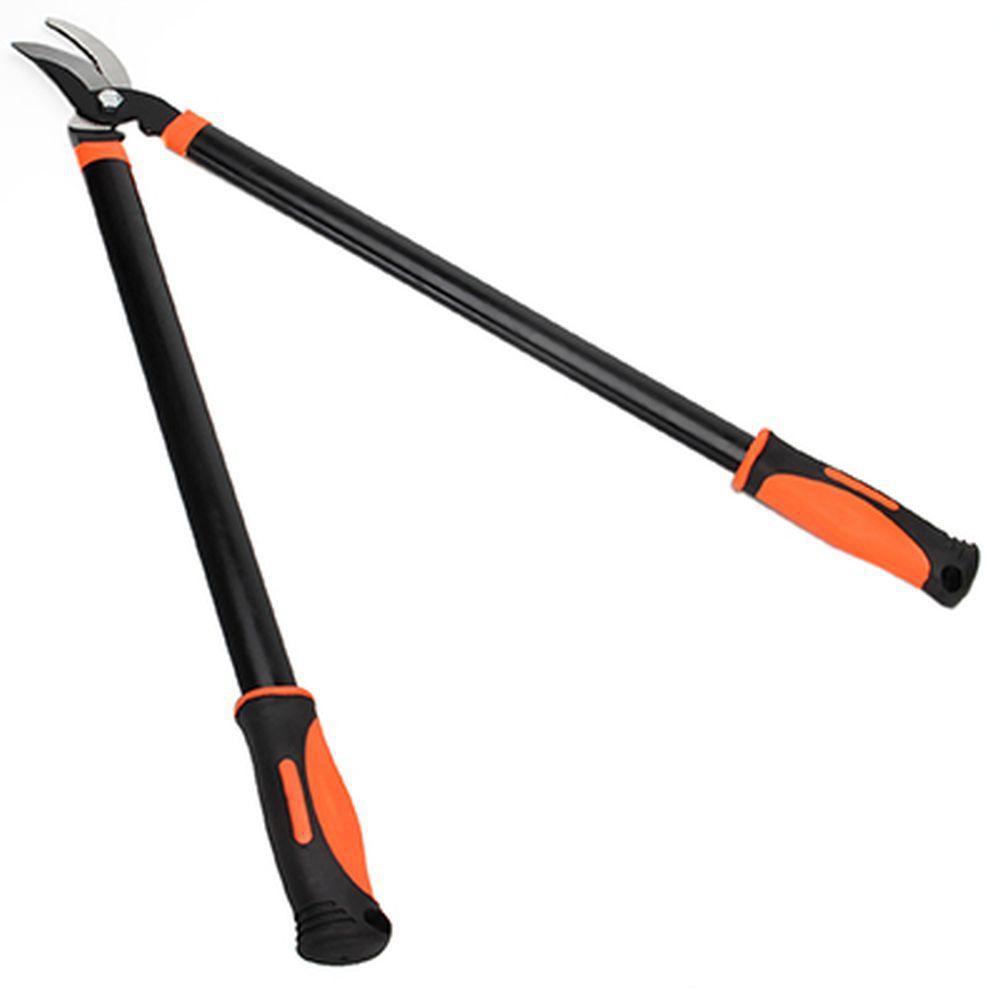 399 . - INBLOOM  , ,  , 71