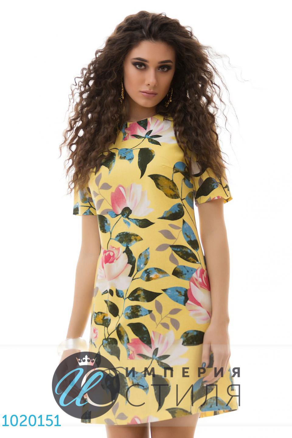   1020151 490  S M L.jpg