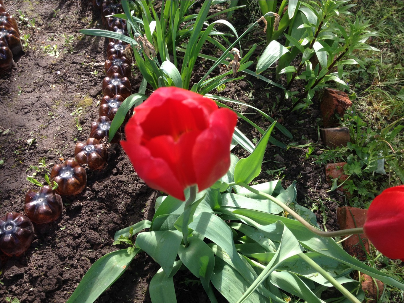     IMG 0940.JPG