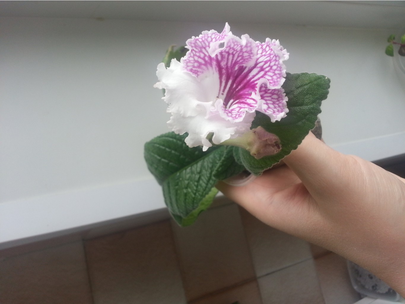 20170418 081056.jpg