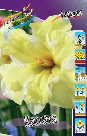 16,2.  (   10 .)  5 ..jpg