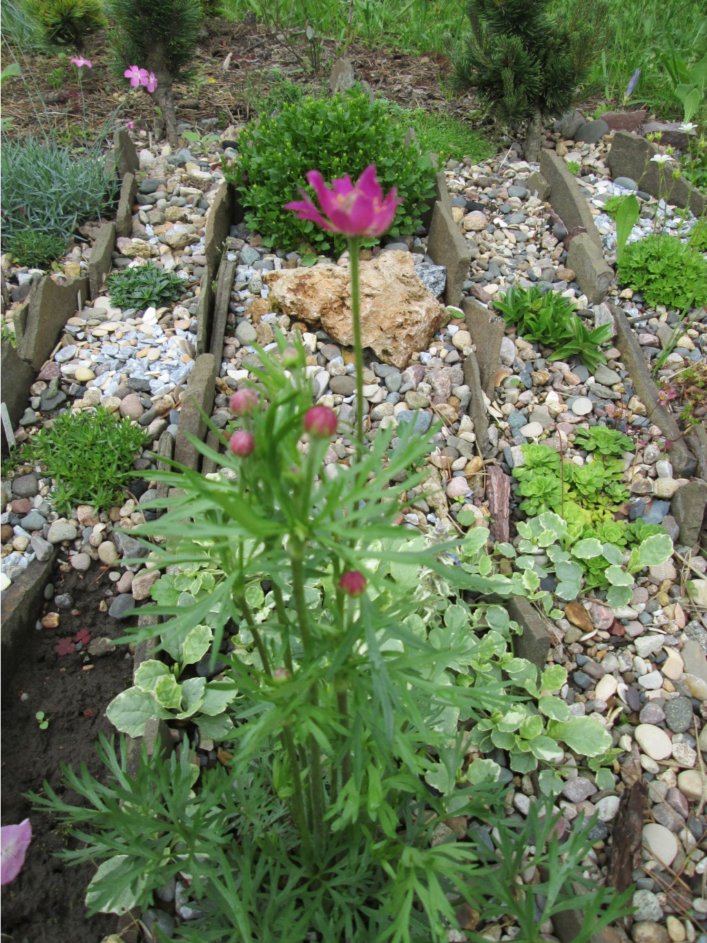 IMG 4918.JPG