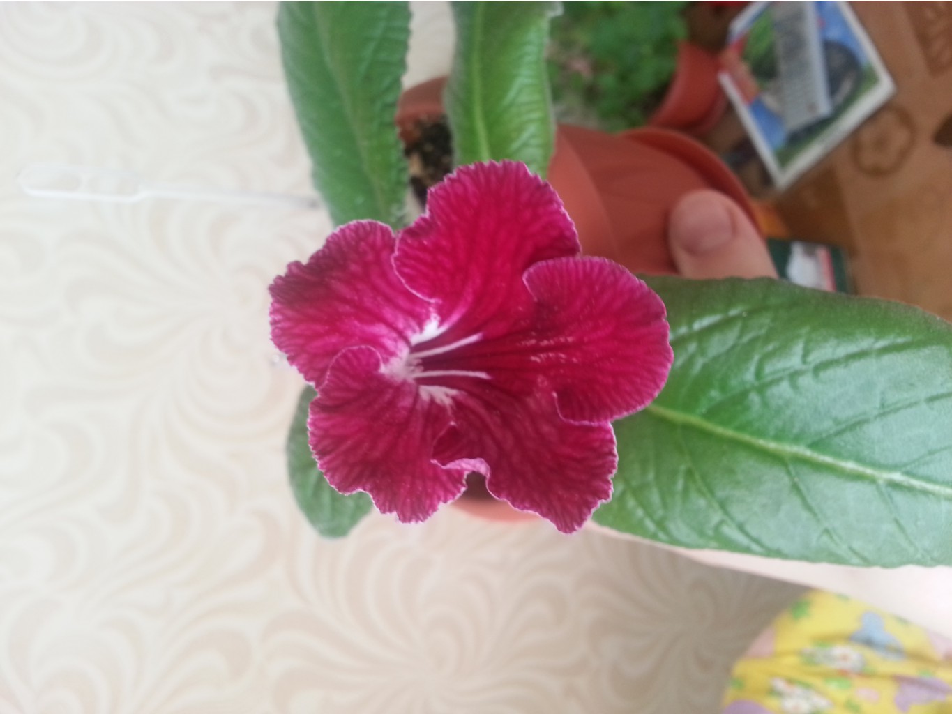 20170504 074157.jpg