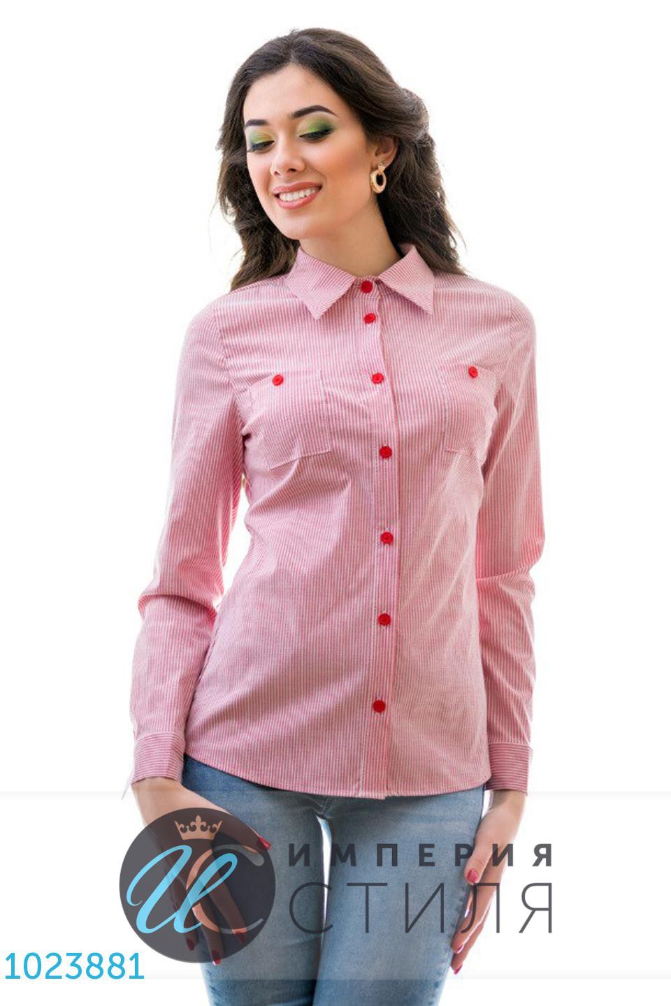   1023881 528  S M L.jpg