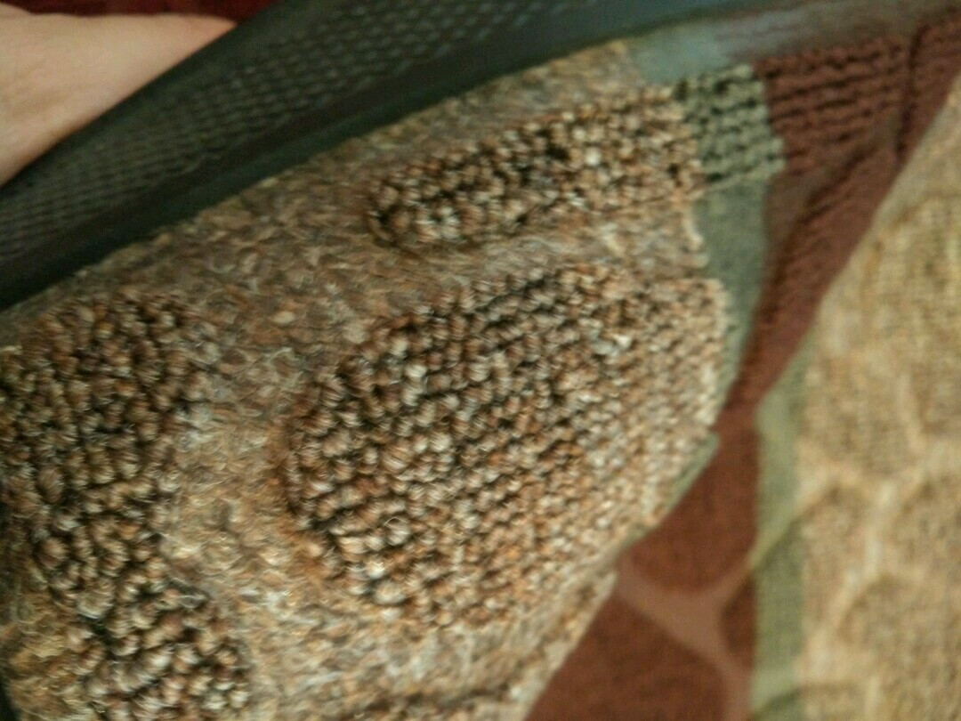   LUX multicolor .jpg