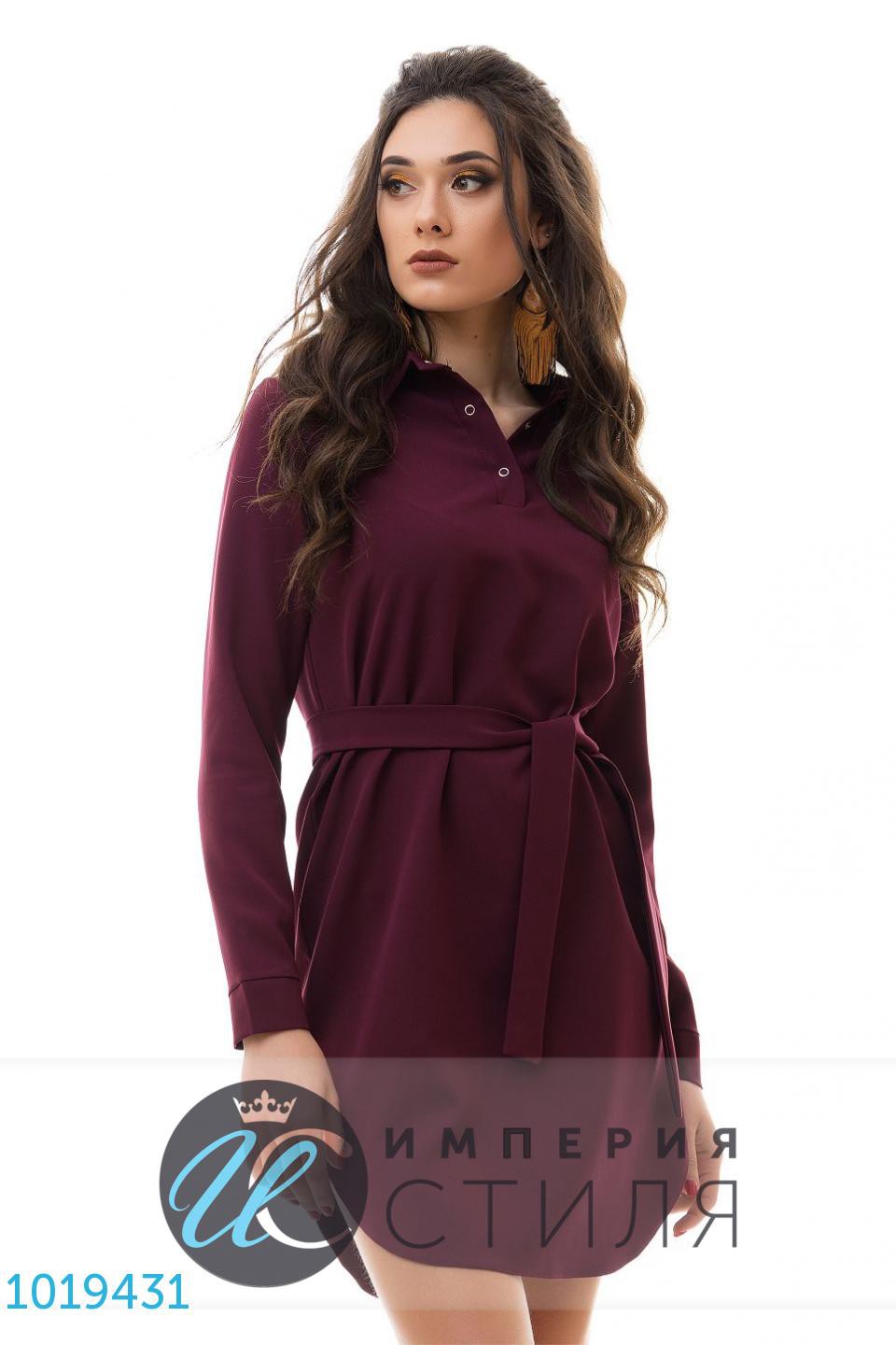    1019431 505  S M L.jpg