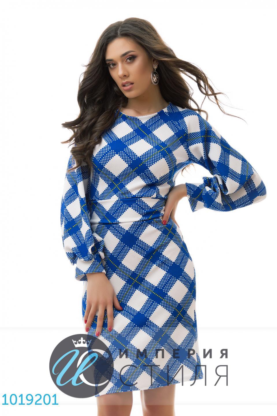   1019201 401  S M L.jpg