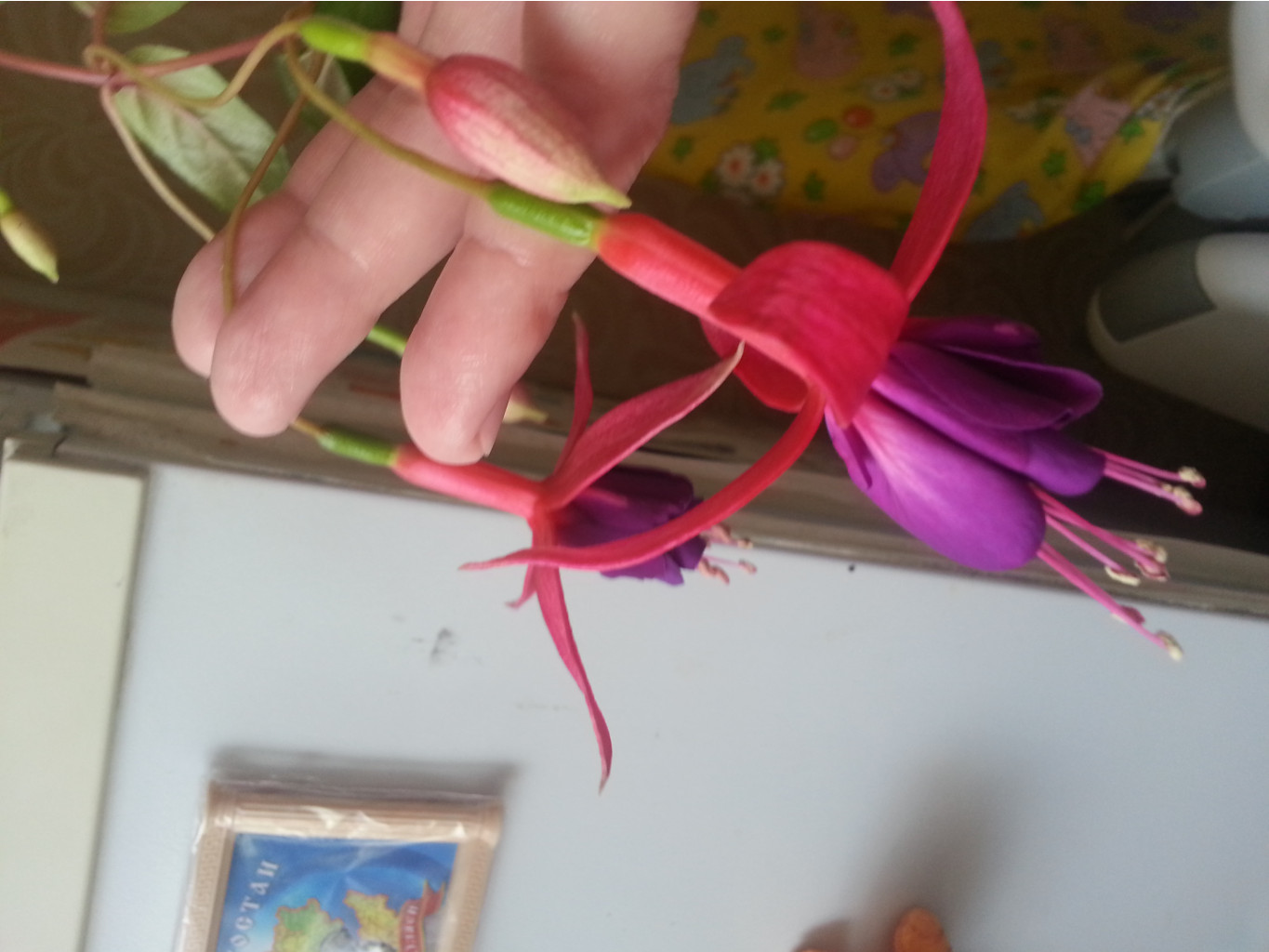20170530 140201.jpg