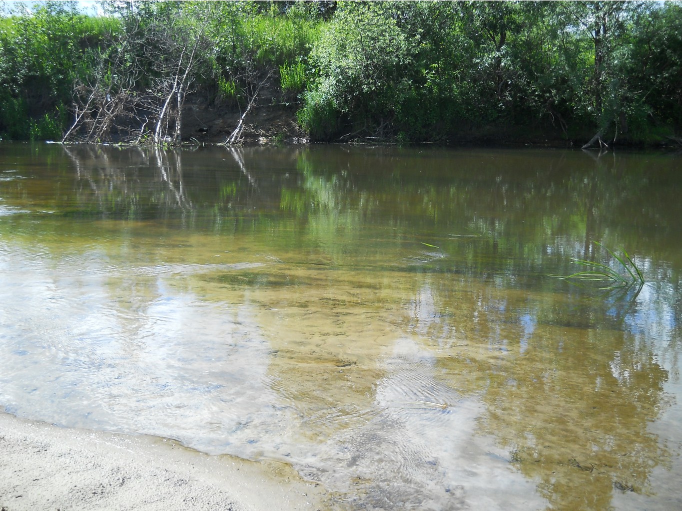 DSCN0020.JPG