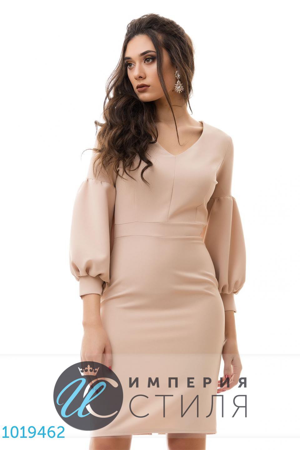   1019462 503  S M L.jpg