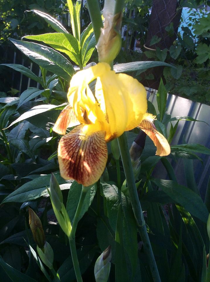 13239076 978023828985116 7276369061432051750 n.jpg