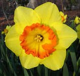 -  - 60 . . (  3 .).   40 .    10 .!!!!!!!!!!!!!!  .jpg