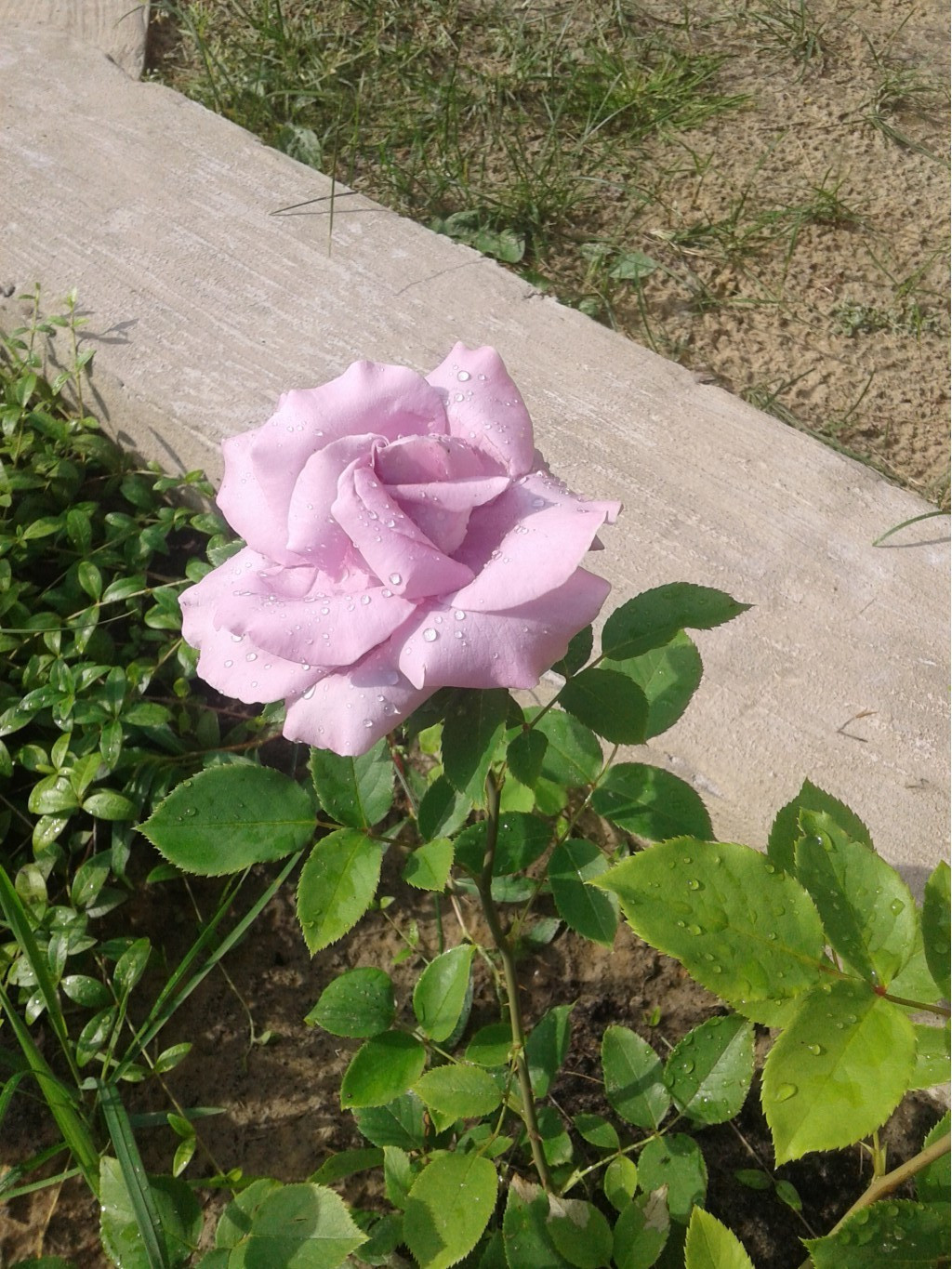 597ee704995ab 20170721160013.jpg