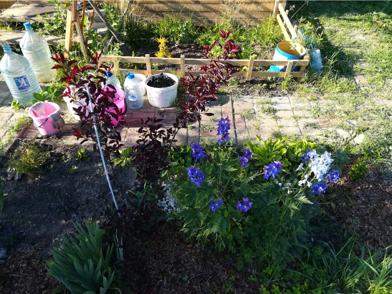 IMG 20170718 173008.jpg