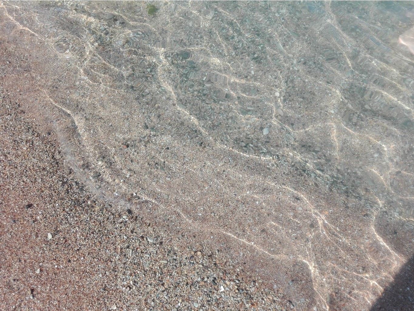 IMG 20170713 082948.jpg