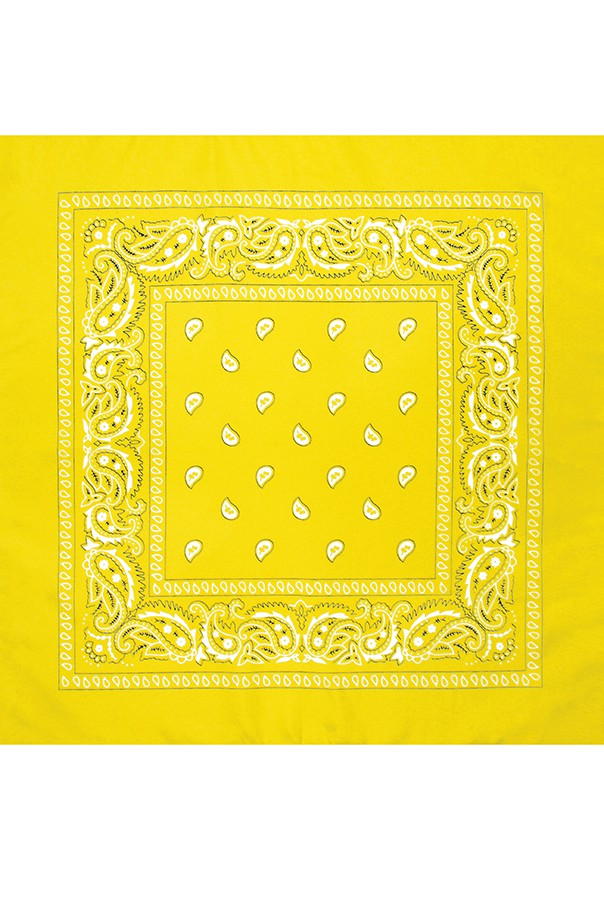45 . - Paisley Acrylic 5555 