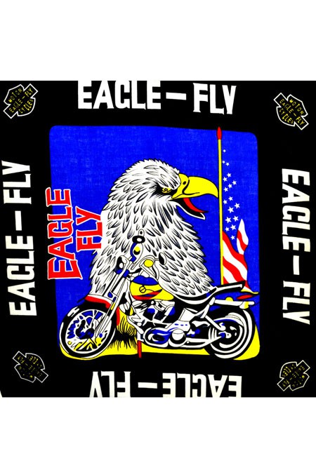 49,5 . - Eagle Fly ң   5555 