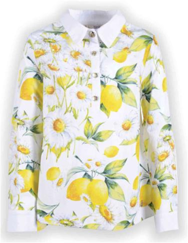 88092-SPM , .122(. 3), 140(. 2), 150(. 1), 158(. 1), 162(. 1) - 1700,00  - 850,00.png