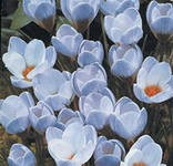 -- - - - 49 . . (  10 .).  10-15 .   3 ..jpg