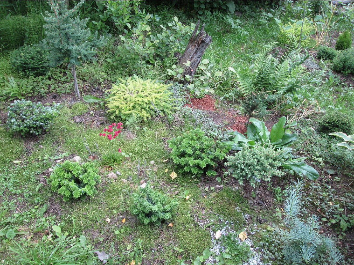 IMG 5006.JPG