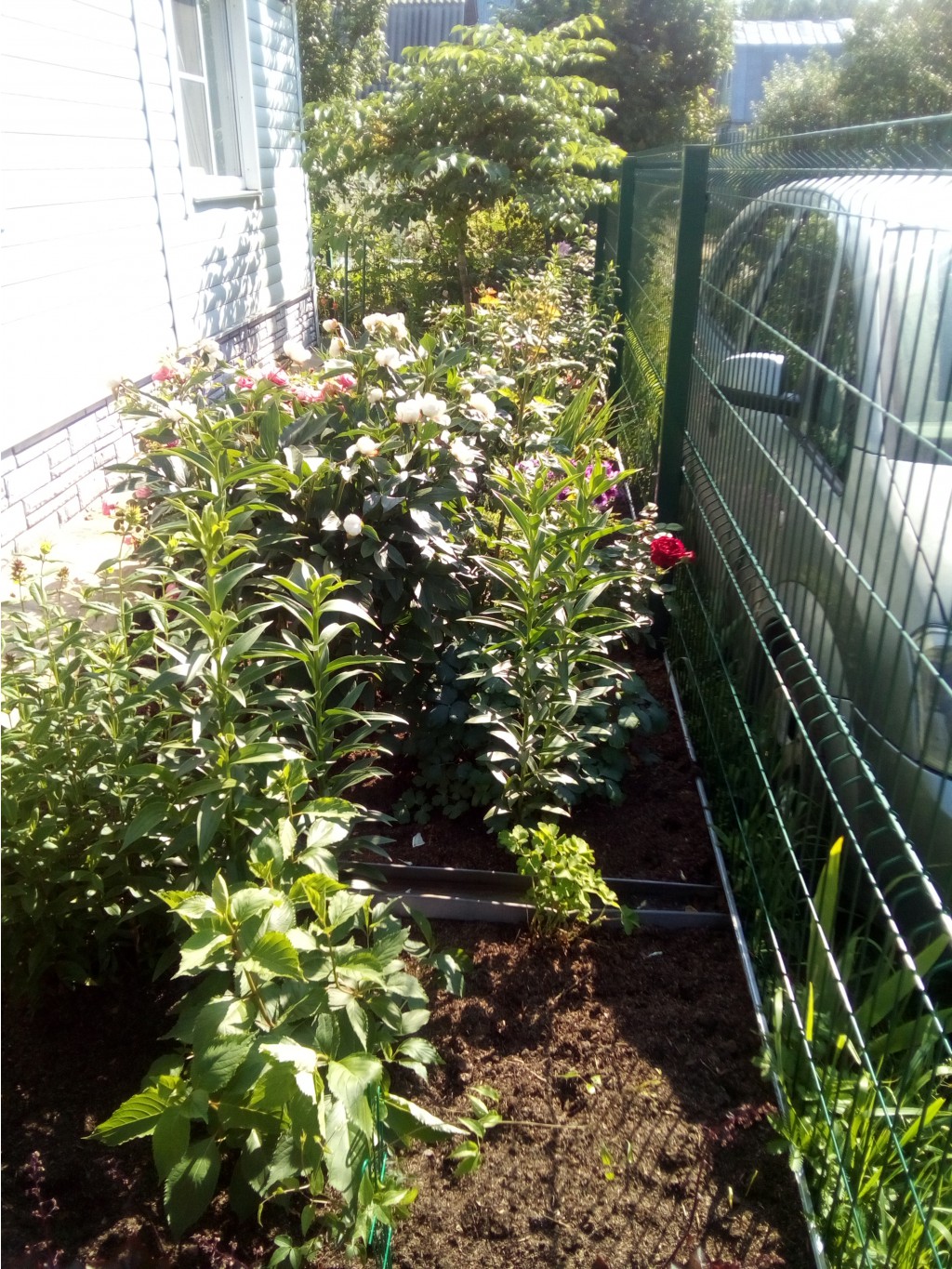 IMG 20170716 083725.jpg