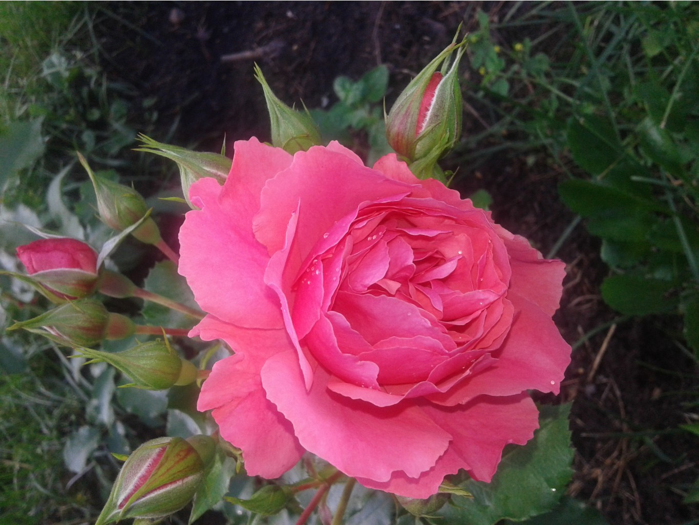 597ee7021bb9d 20170724172843.jpg