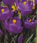 -- - - ---- 68 . . (  10 .).   15 .   4 ..jpg