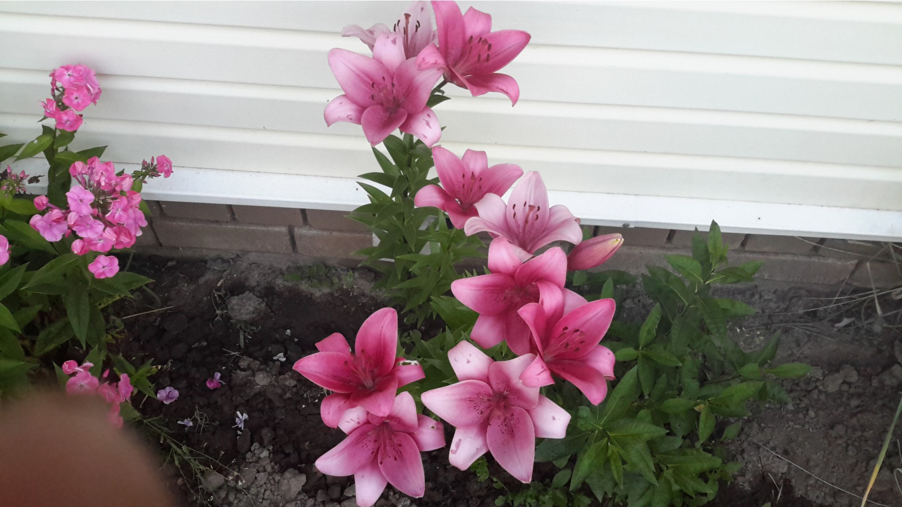 20170727 201119.jpg