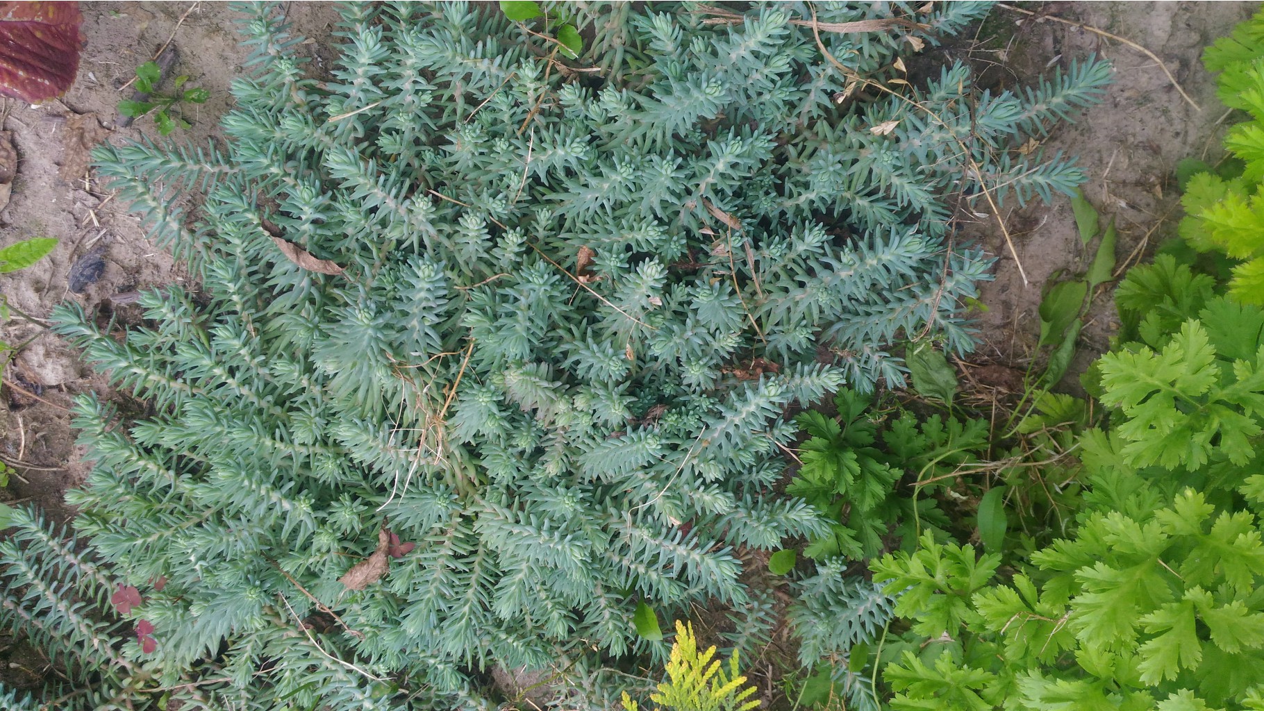 P 20170721 174821.jpg