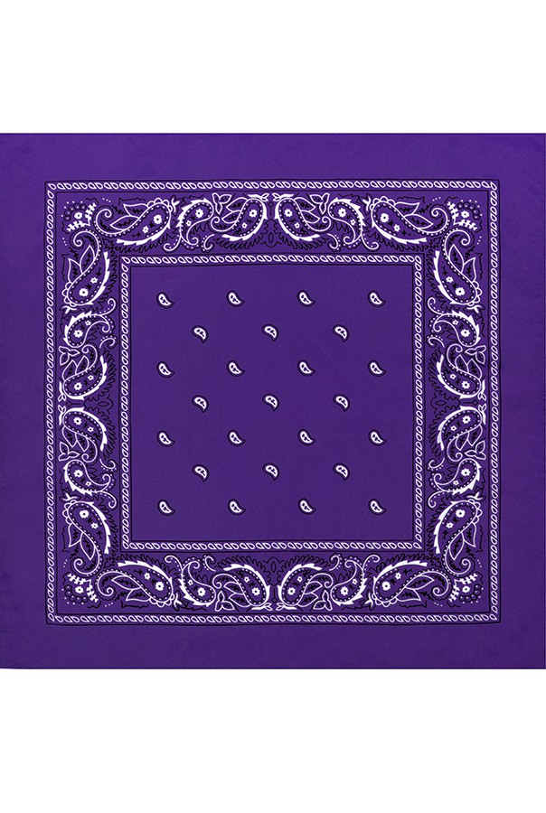 45 . - Paisley Acrylic 5555 