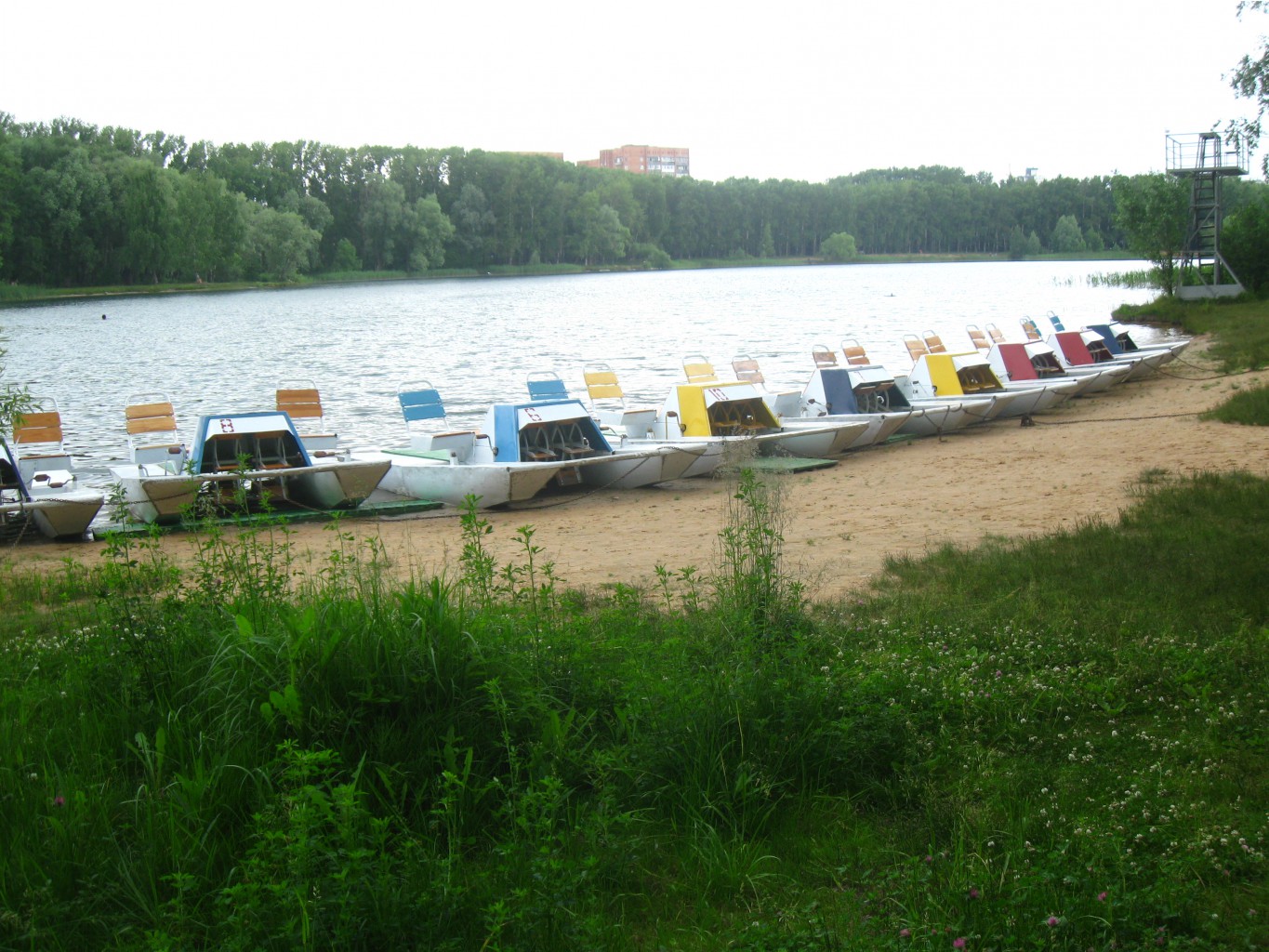Picture 135.jpg