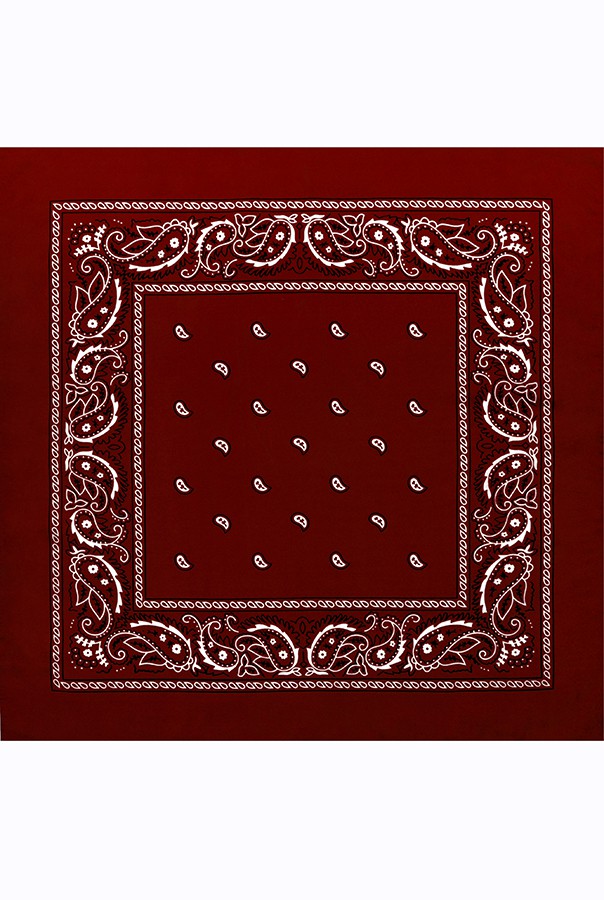 45 . - Paisley Acrylic 5555 