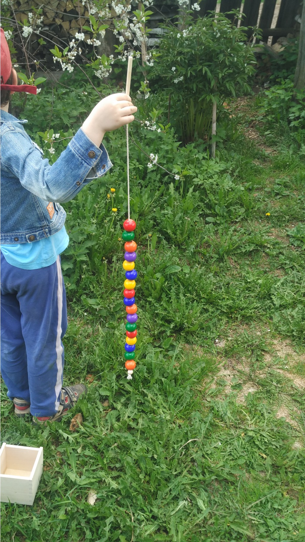 IMG 20170525 121118.jpg