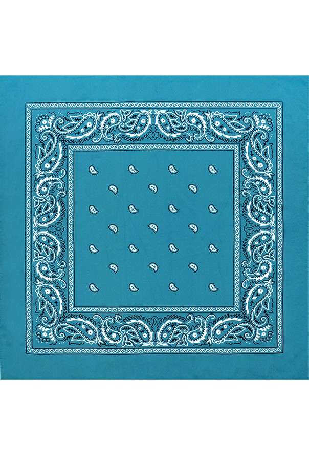 45 . - Paisley Acrylic 5555 
