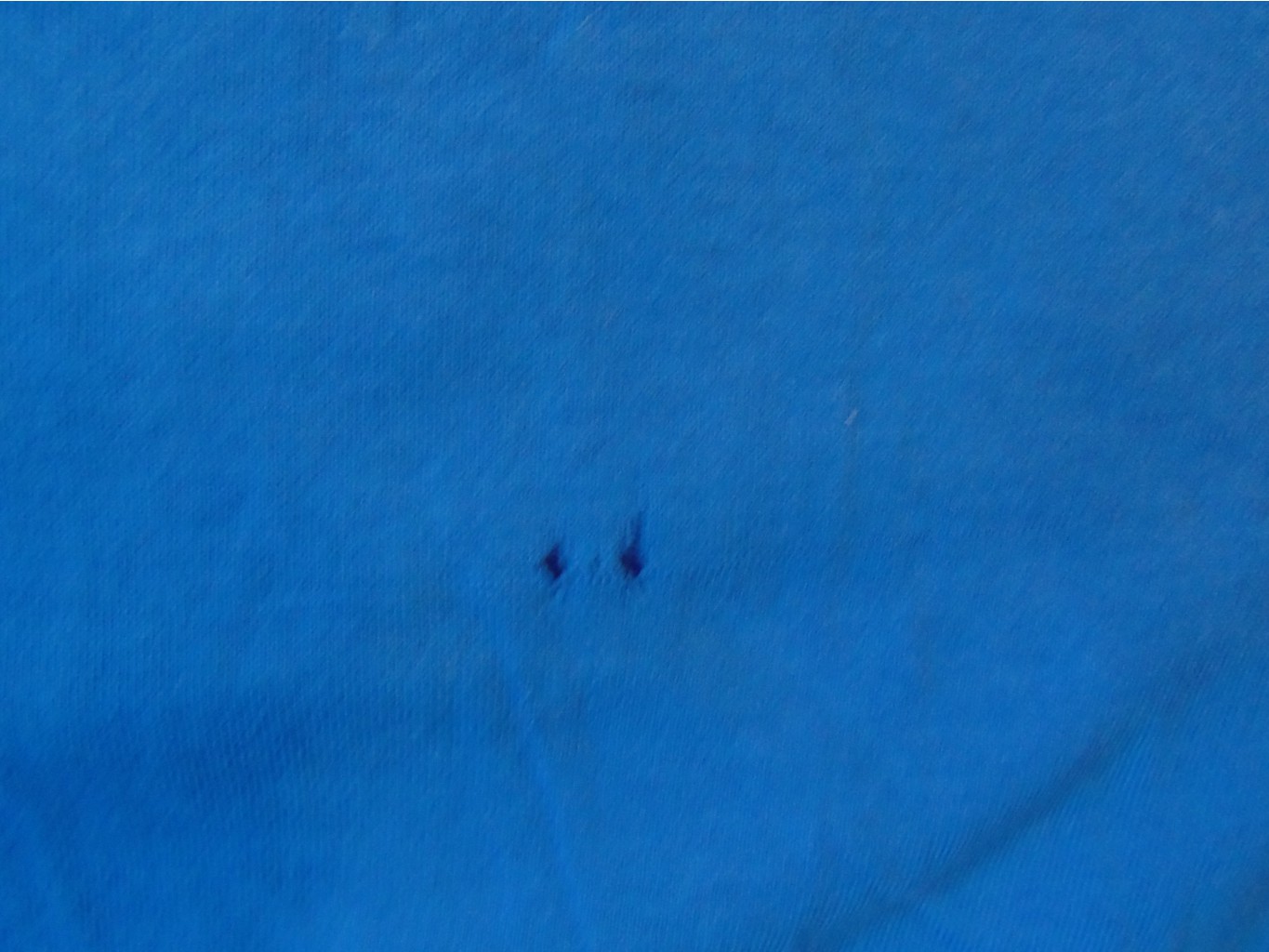 DSC00206.JPG