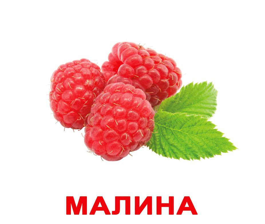 КОМПЛЕКТ КАРТОЧЕК 