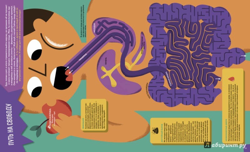 Человеческое тело. Большая книга лабиринтов.1.jpg