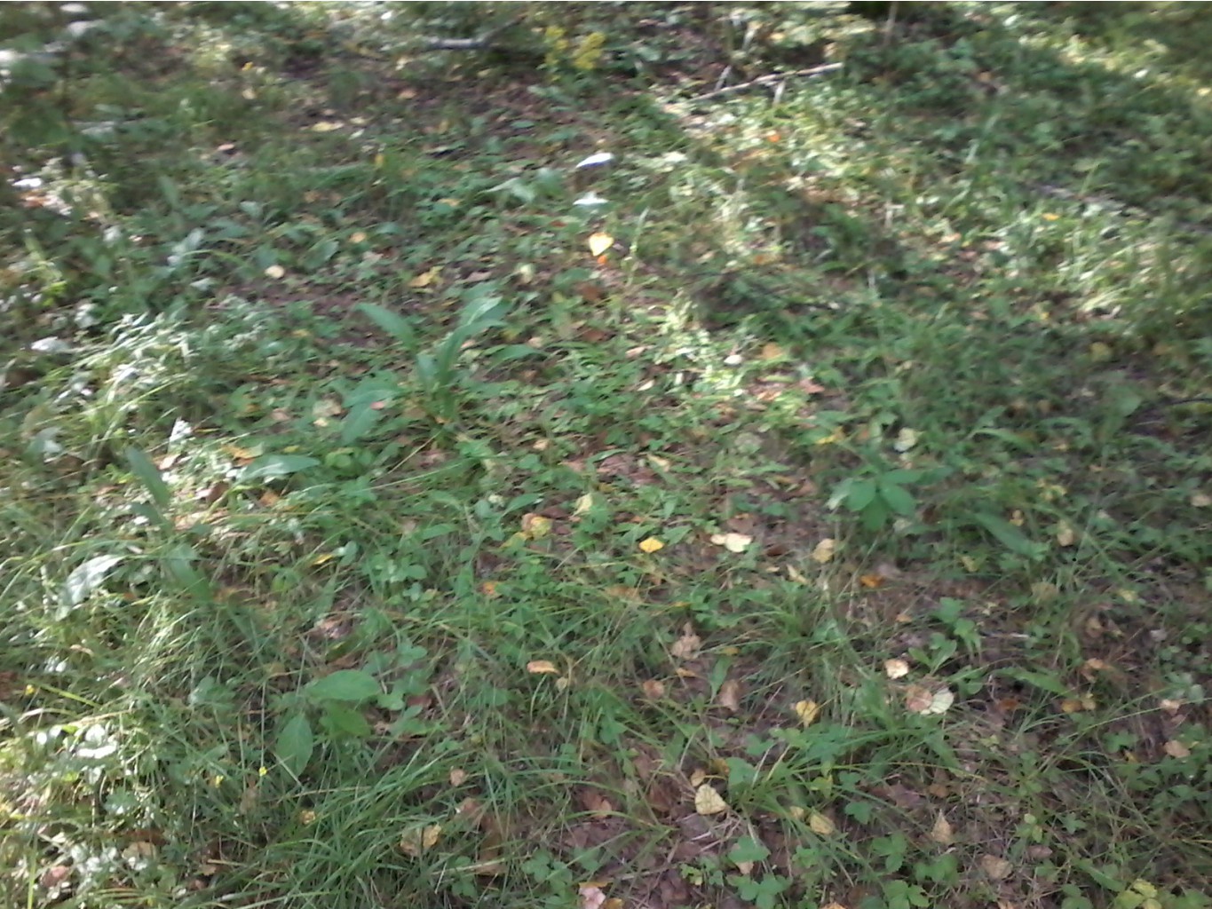 20170812 154407.jpg