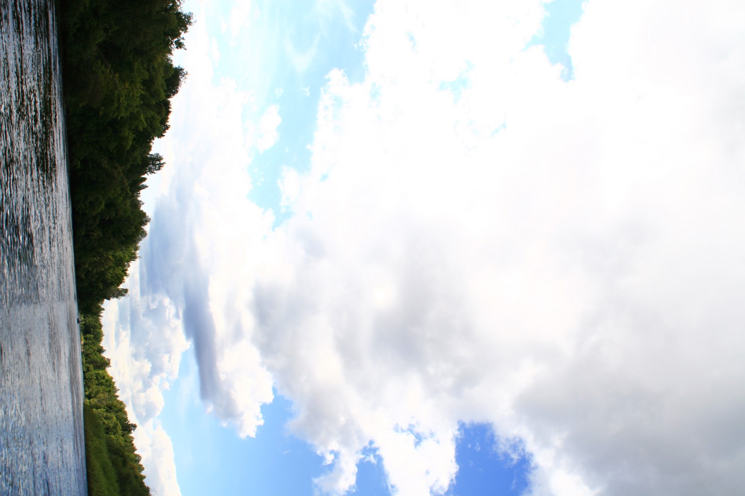 IMG 8546.JPG
