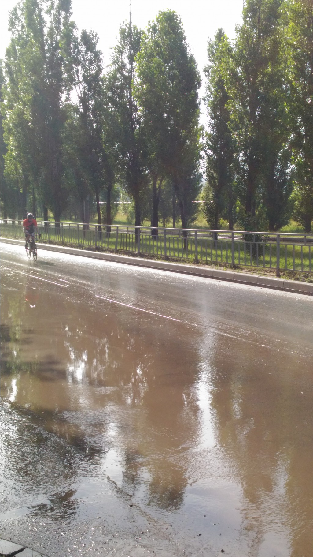 P 20170812 081536.jpg