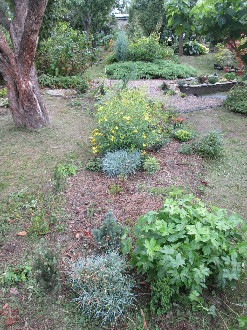 IMG 5165.JPG