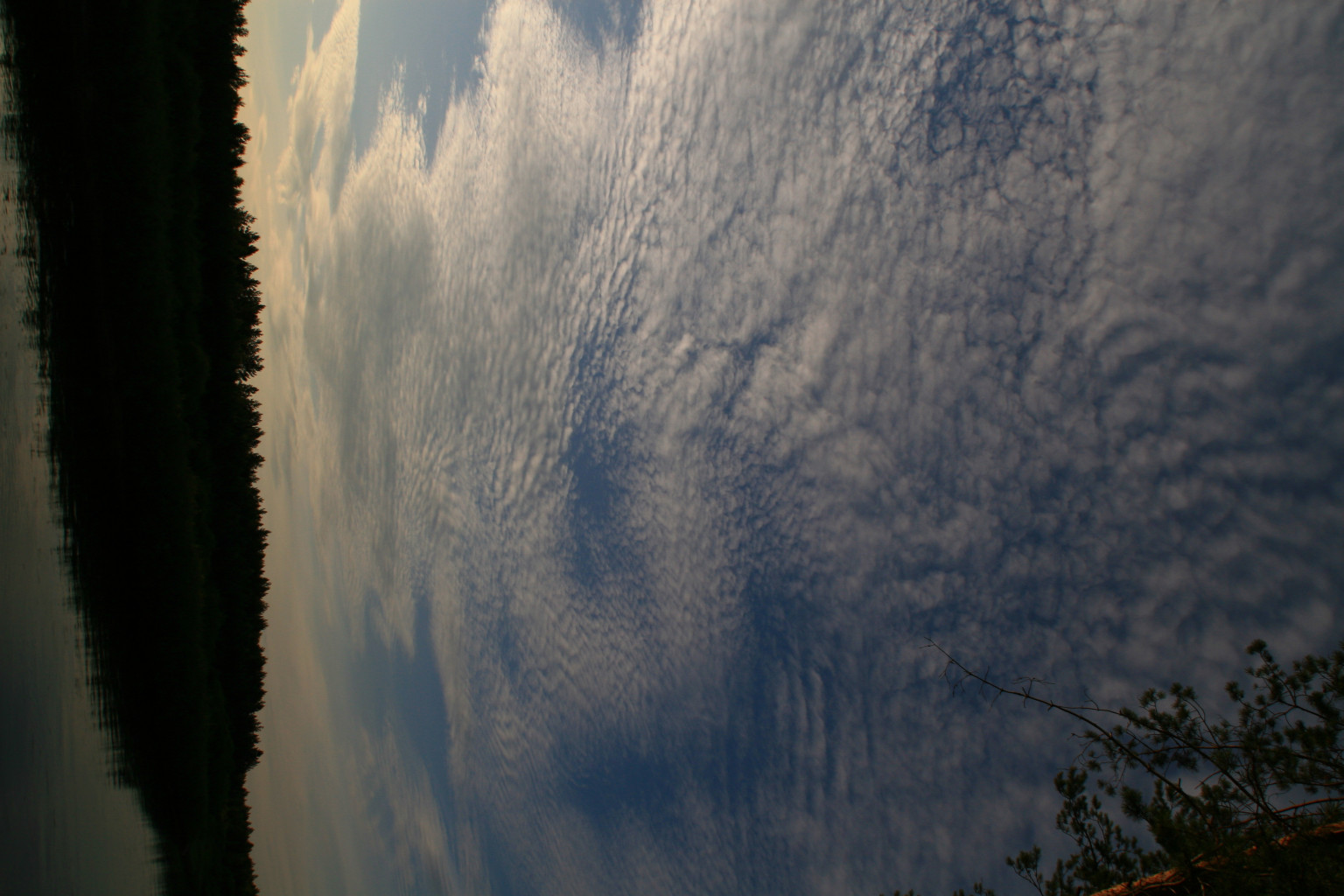 IMG 8578.JPG
